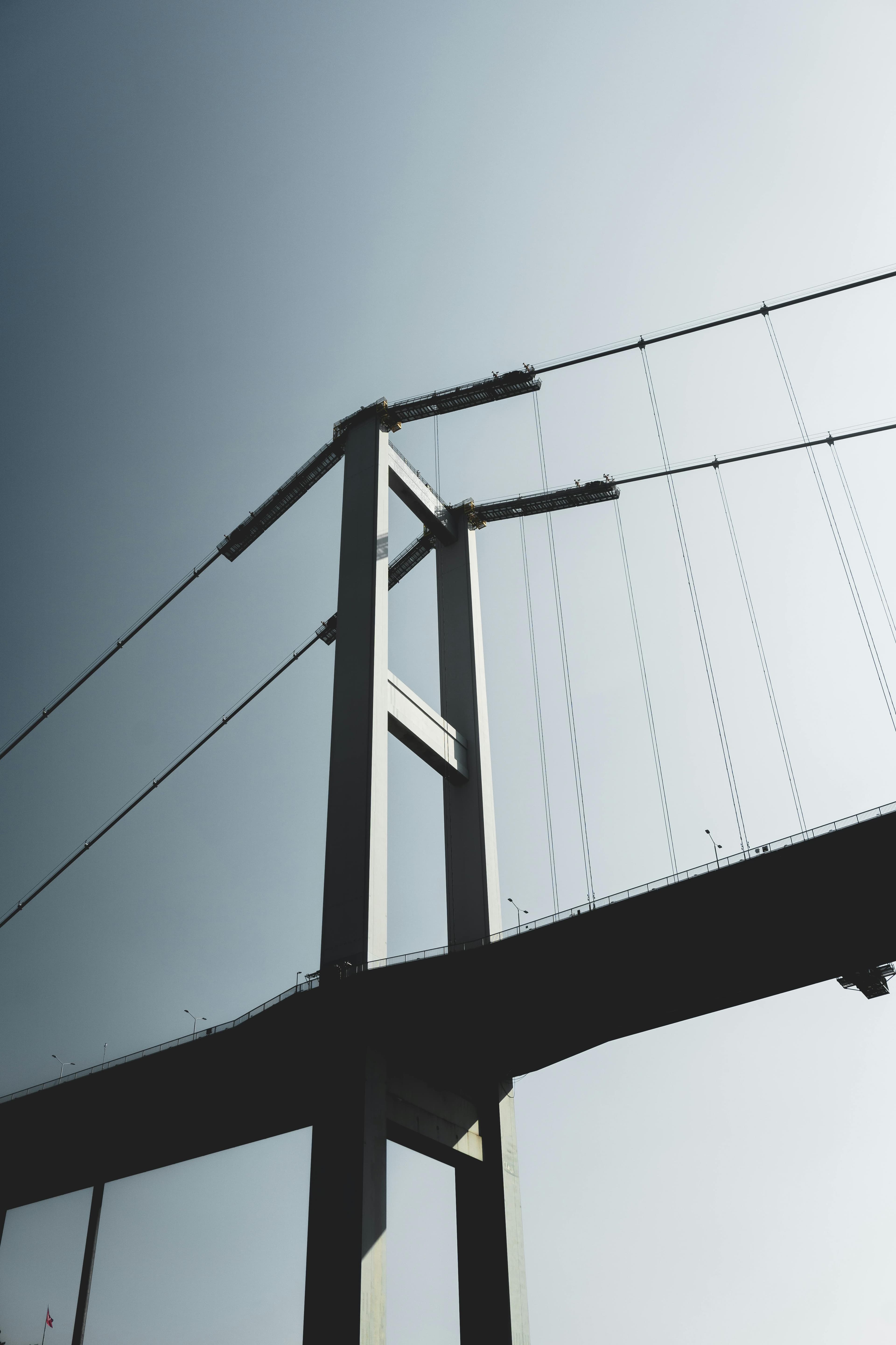 روغن‌های دیزلی